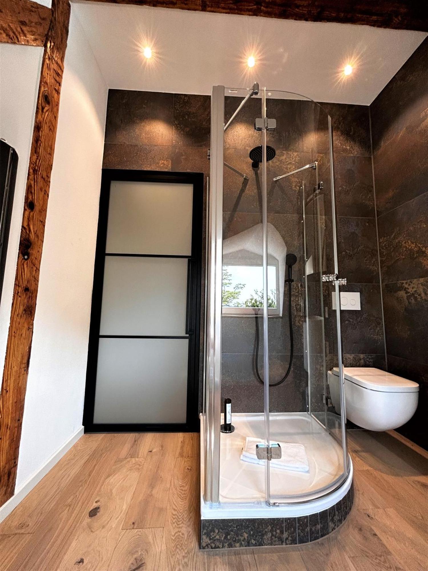 Historical Luxury Homes - Exclusive Selection ไฟรบวร์กอิมไบรส์เกา ภายนอก รูปภาพ